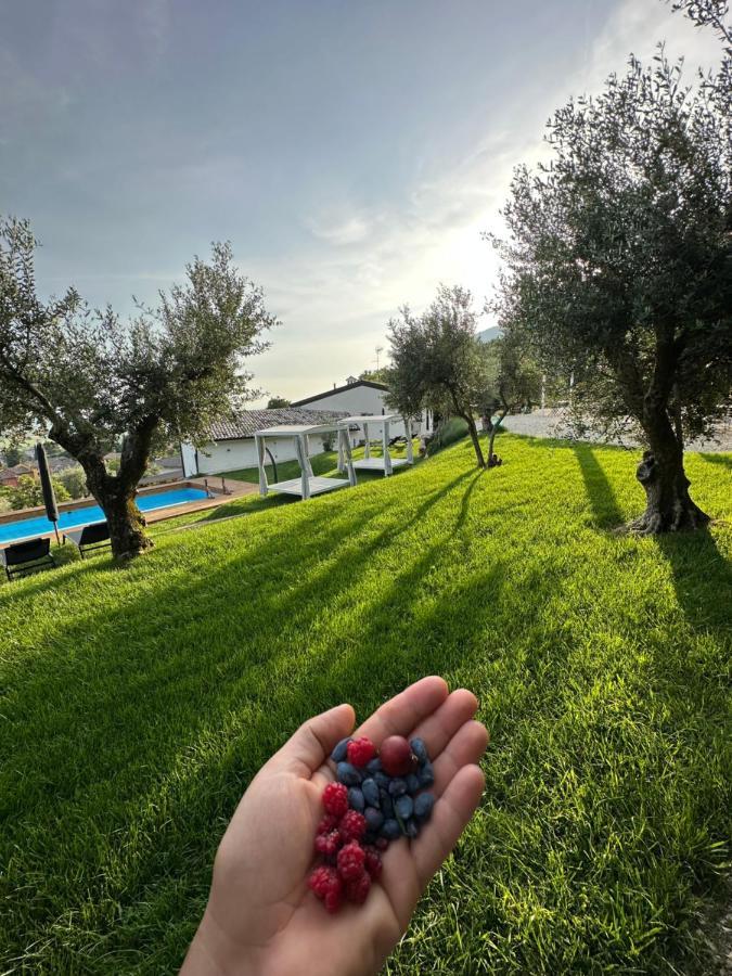 Agriturismo Maison 1933 Caprino Veronese Exterior photo